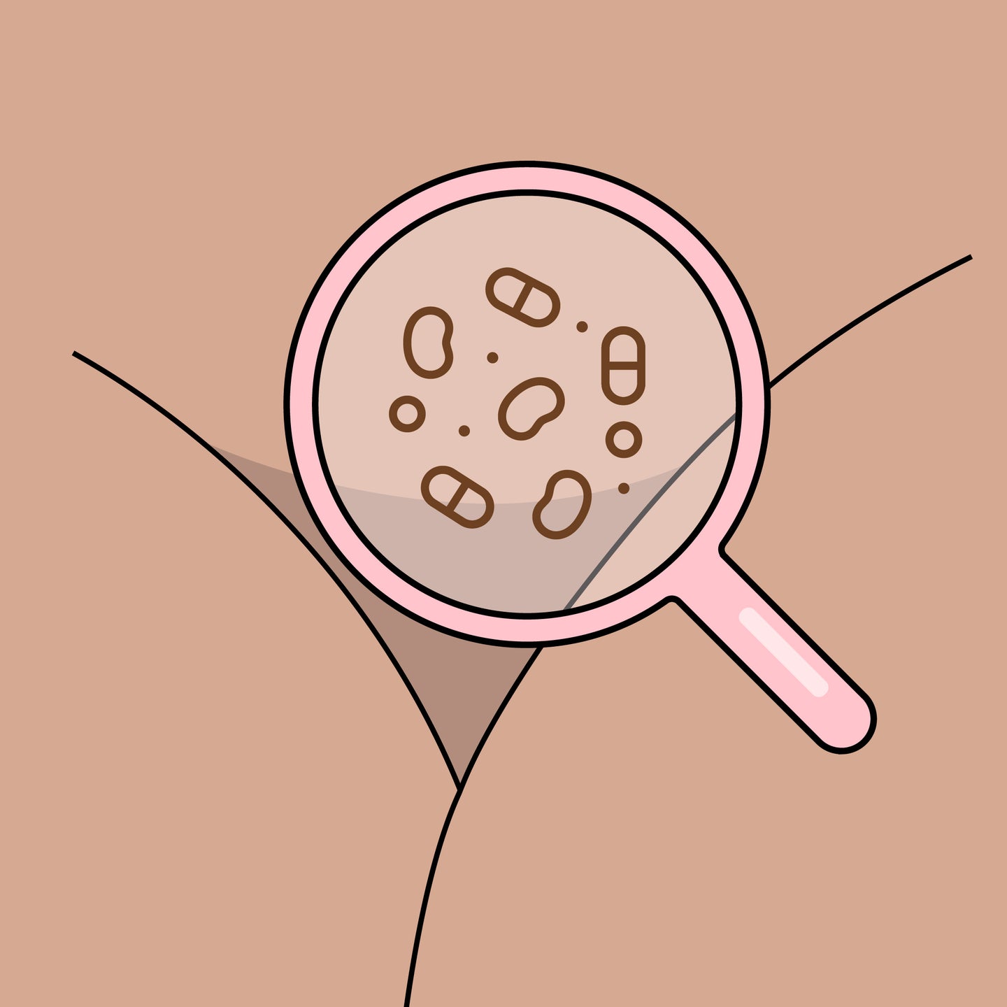 illustration of pubic area with magnifying glass